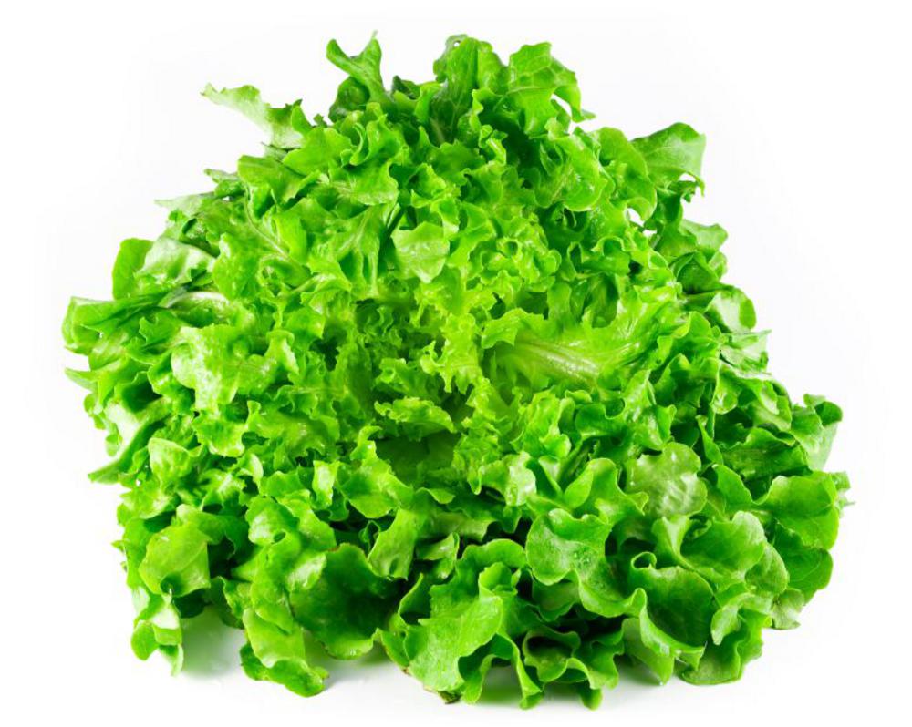 raw lettuce